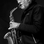2016-06-04 Novara Jazz.jpg